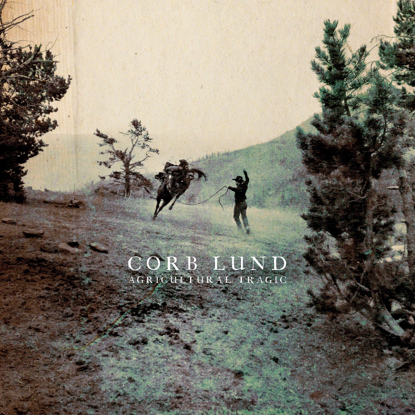 Buy CD!